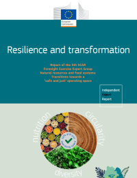 Resilience and transformation cover report