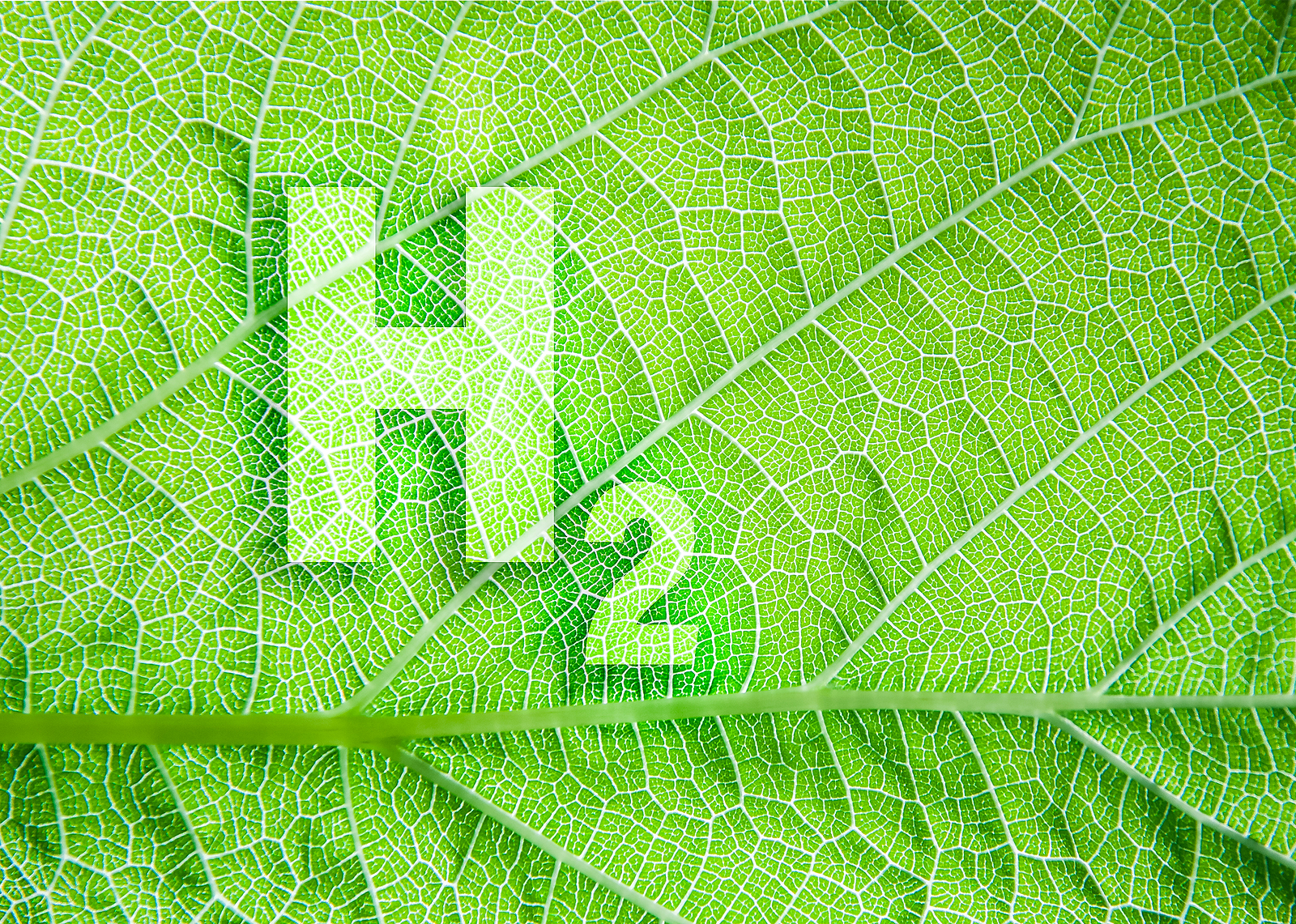 H2