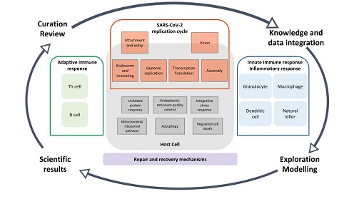 Uni of Lux Diagram covid