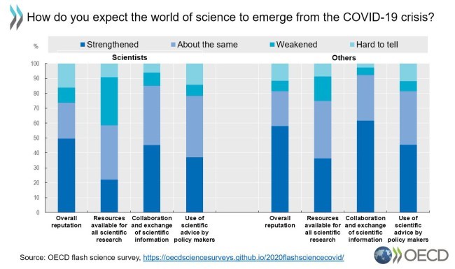 oecd graph