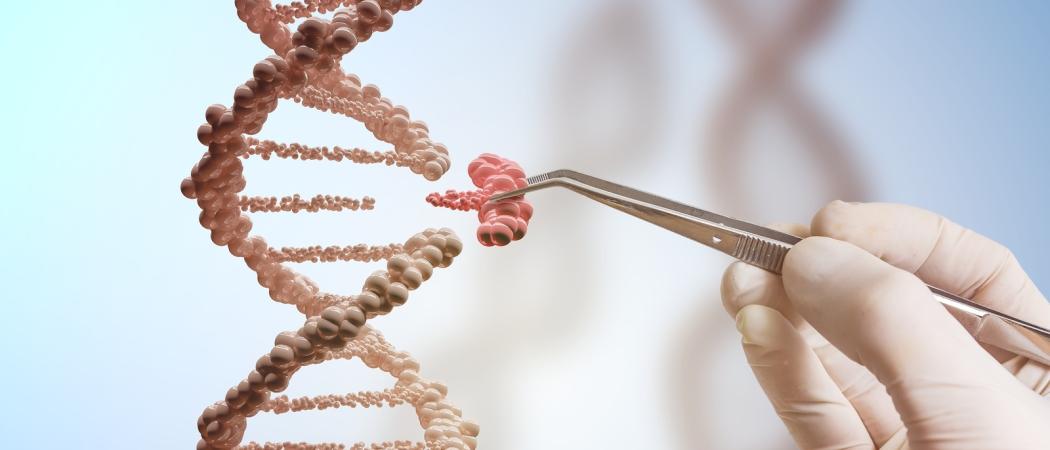 Pressure increases for ECJ rule banning use of genome editing in ...