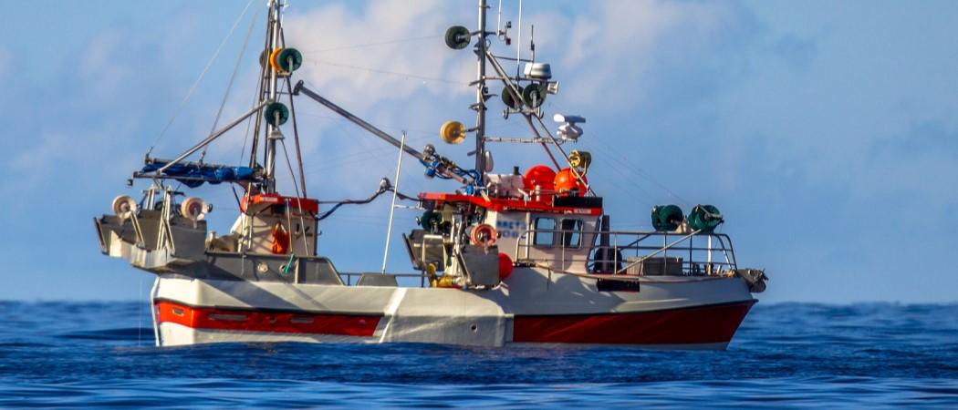 Sustainable fishing: The tech making it cheaper and greener