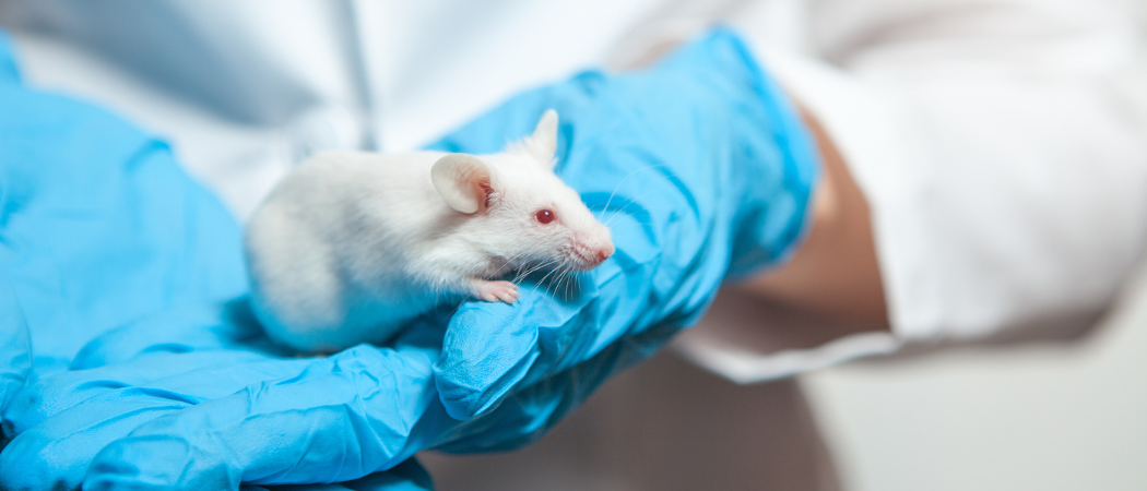 Animal Testing - Personal Care Products Council